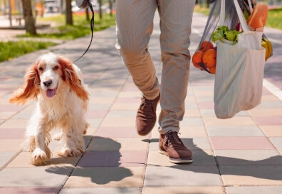 a person walking a dog on a leash.