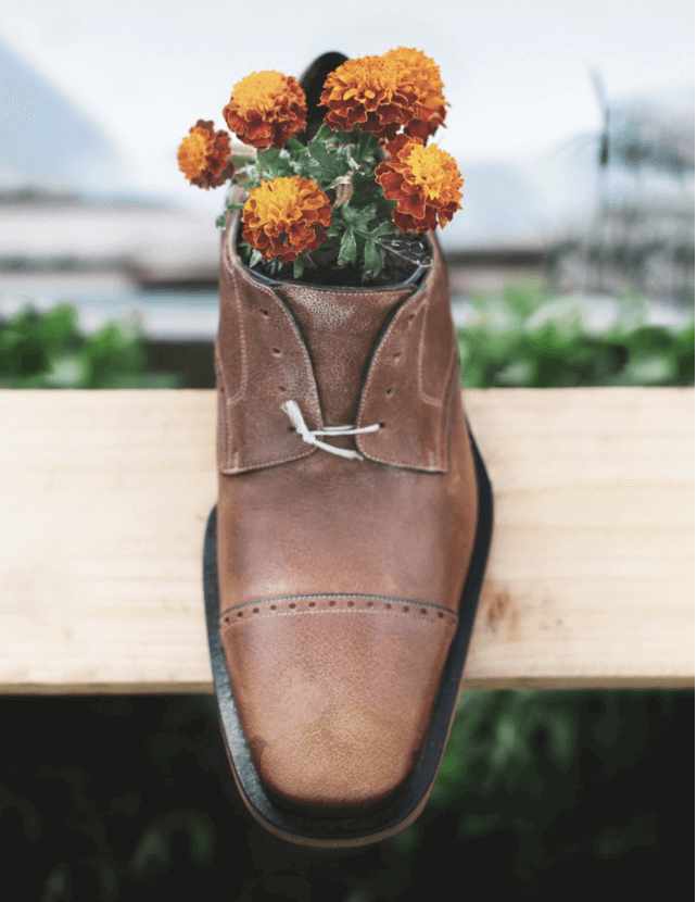 A pair of brown shoes with flowers in them.