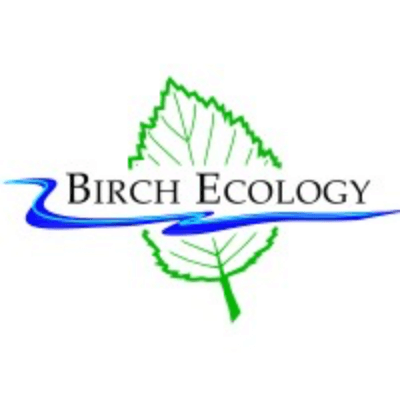 Profile picture for birch ecology.